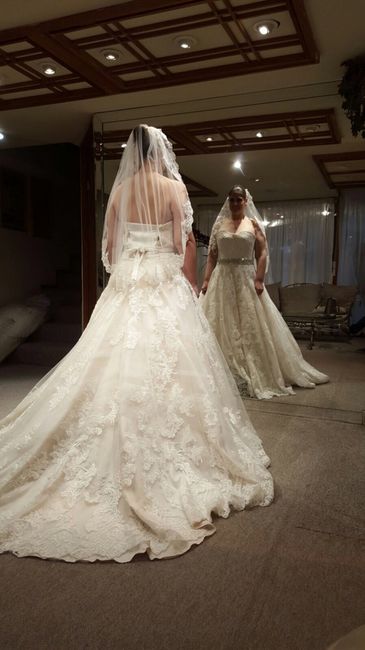 ¿Cómo será tu velo de novia? - 2