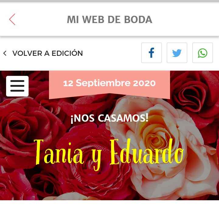 Descubre la Web de boda - 1