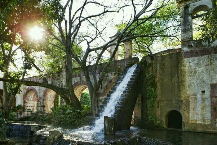 Mi luna de miel- Elizabeth 5