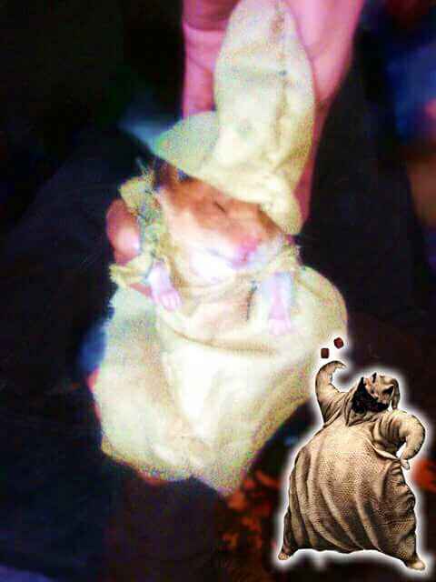 ¿Te vas a disfrazar con tu FM para Halloween? - 1