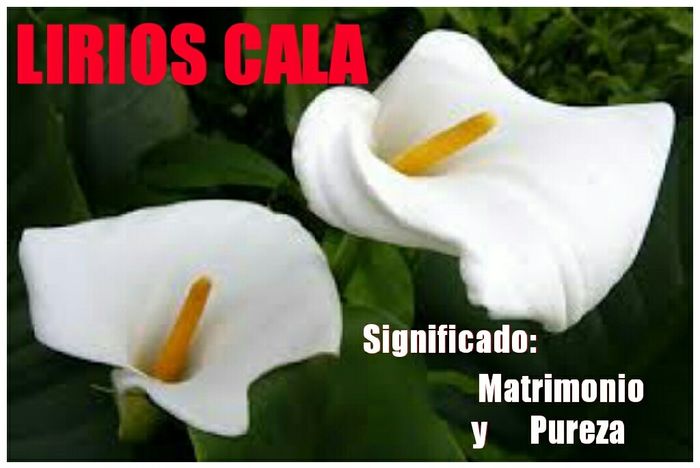 Numerador de mesas!! - 1