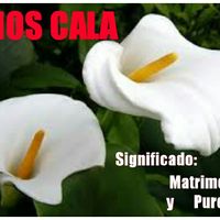 Numerador de mesas!! - 1