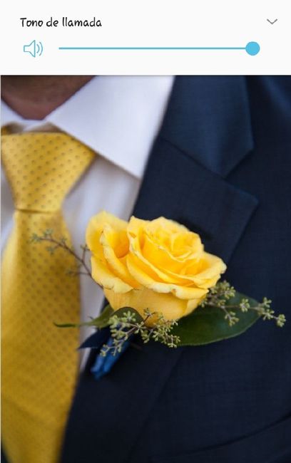 Boutonniere con color Amarillo 🌻 - 11