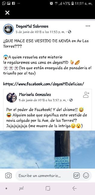 Cuelga vestido de Novia 🤔 - 1