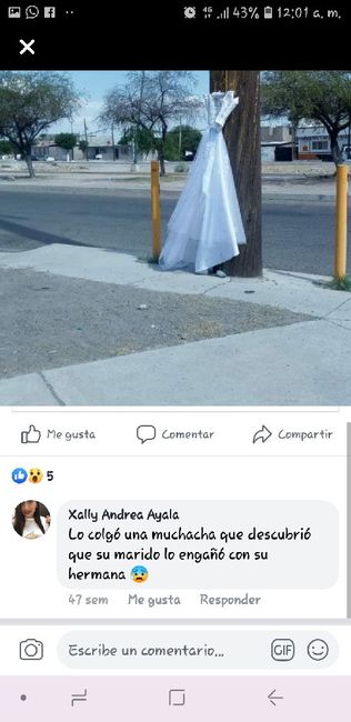Cuelga vestido de Novia 🤔 - 2