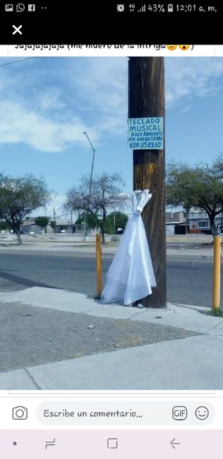 Cuelga vestido de Novia 🤔 - 3