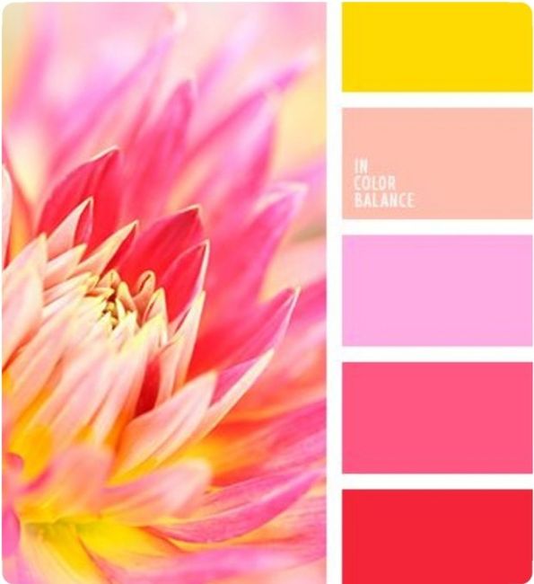 Sabotearon el color de mi boda - 5