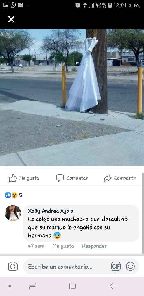 Cuelga vestido de Novia 🤔 - 2