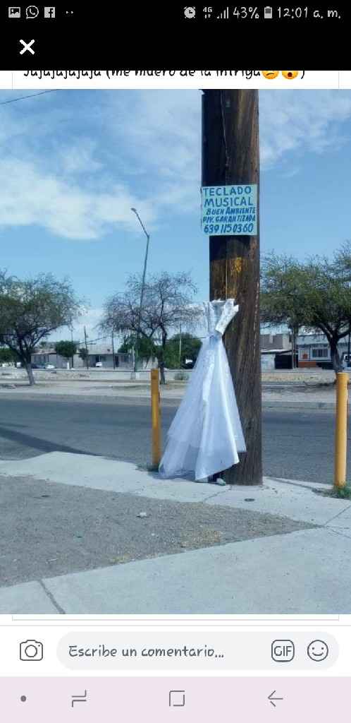 Cuelga vestido de Novia 🤔 - 3