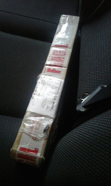 Llegaron mis luces de bengala - 2