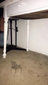 Triste realidad ... :O