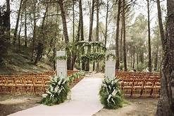 BOSQUE DE MAZAMITLA