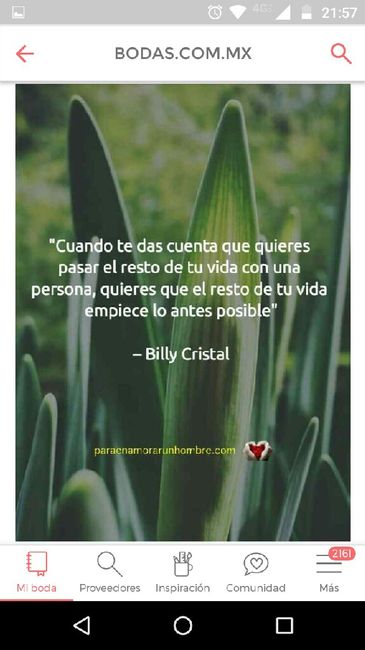 Inspiración: Frases románticas ❤ 25