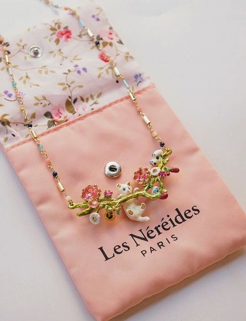 Temática Parisina. Tú vestido para la despedida de soltera o Save The Date 9