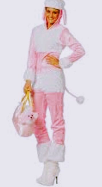 Despedida de soltera trajes divertidos y/o sexis para  temáticas en rosa 🌹 5