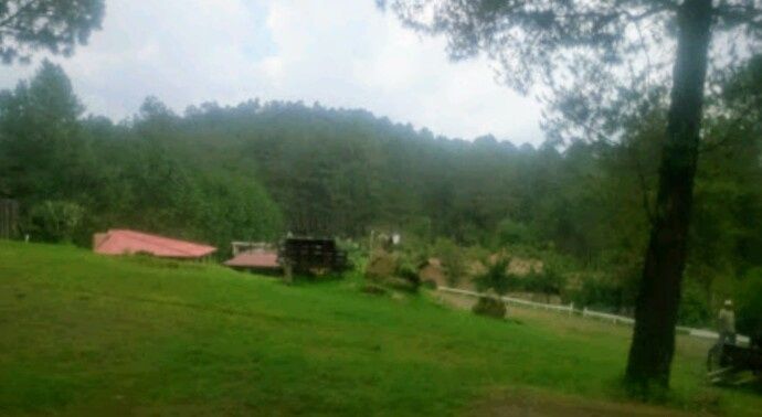 Escapada romántica a Juanacatlan, Tapalpa; Jalisco. 15