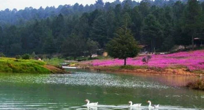 Escapada romántica a Juanacatlan, Tapalpa; Jalisco. 18