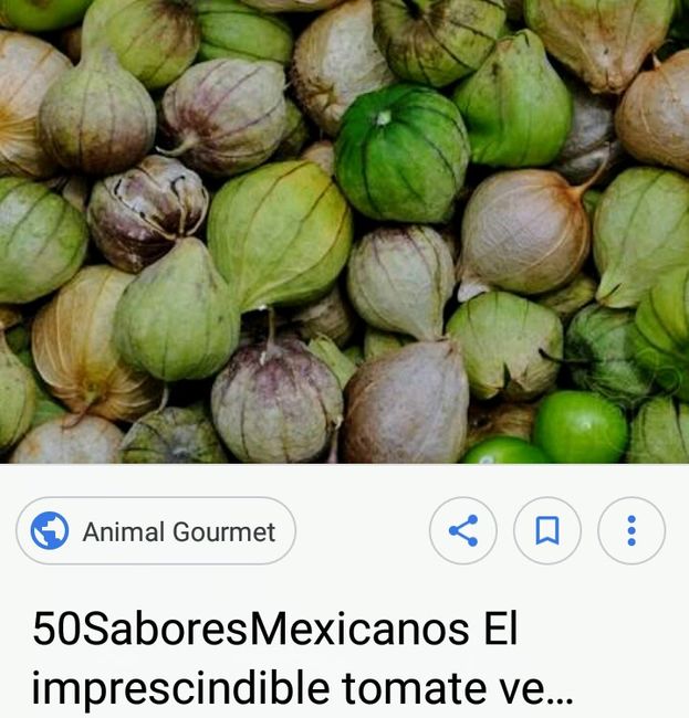 Mi platillo Máster Cheff- Receta de  Carne en su jugo estilo Jalisco con frijolitos de la olla. 2