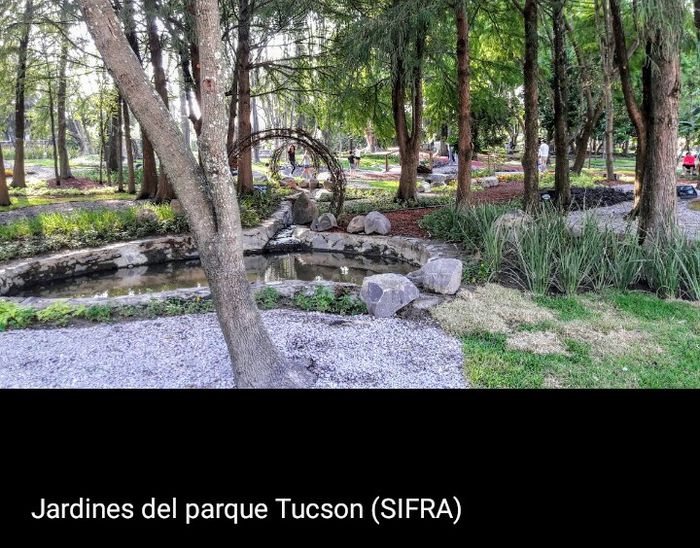 Lugar para sesión de fotos. - 4