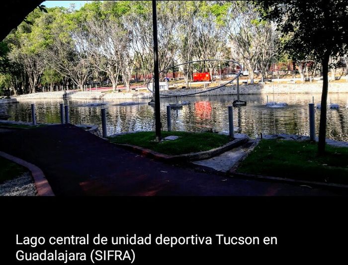 Lugar para sesión de fotos. - 5
