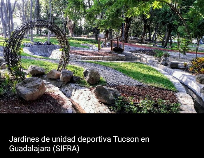 Lugar para sesión de fotos. - 6