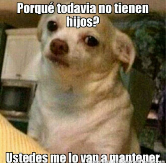 ¿que no queremos hijos? asi es! :d - 3