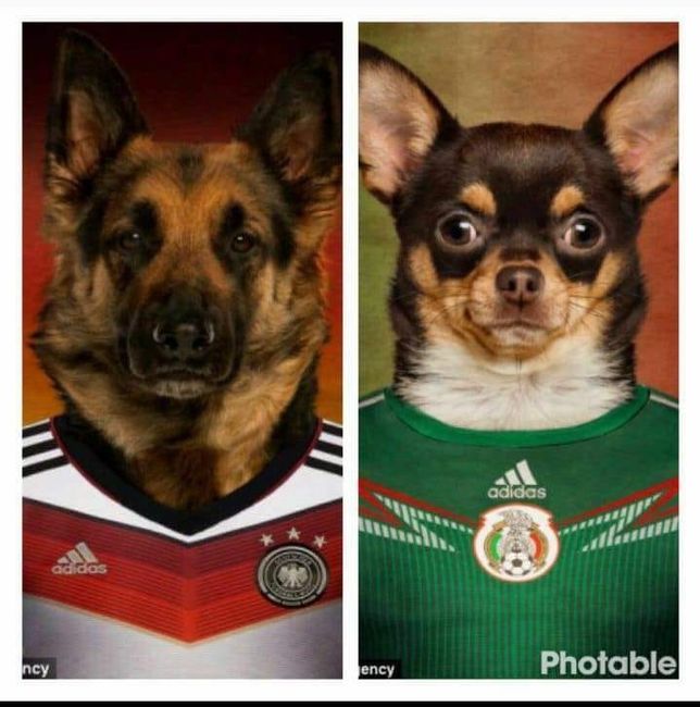 ⚽ RESULTADOS ⚽ Tu Selección Nacional es... 2