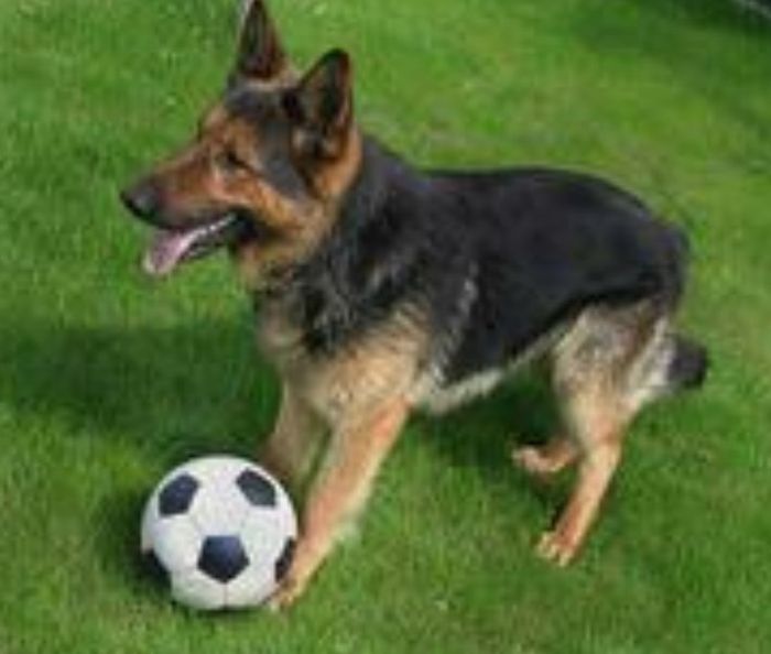 ⚽ RESULTADOS ⚽ Tu Selección Nacional es... 3