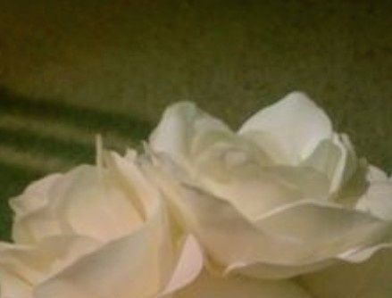 Flores gigantes decorativas en tu boda.así lucen en silla y cortina y así se hacen (diy) 44