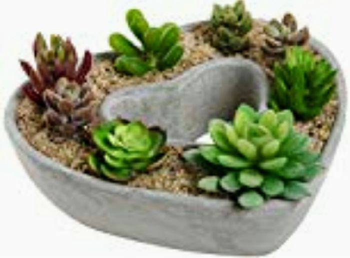 Centros de mesa en tu boda, llenos de vida campestre con Suculentas, cactus y más. 2