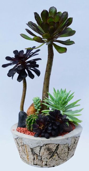 Centros de mesa en tu boda, llenos de vida campestre con Suculentas, cactus y más. 6