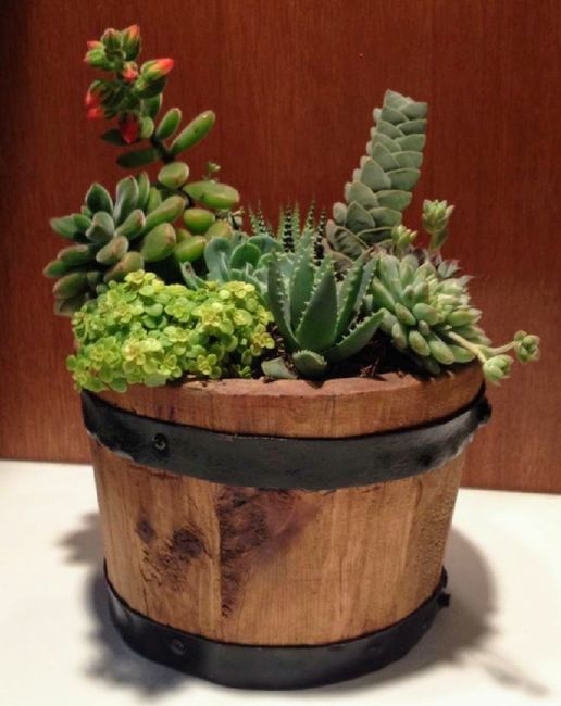 Centros de mesa en tu boda, llenos de vida campestre con Suculentas, cactus y más. 12