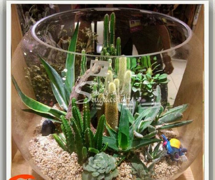 Centros de mesa en tu boda, llenos de vida campestre con Suculentas, cactus y más. 16