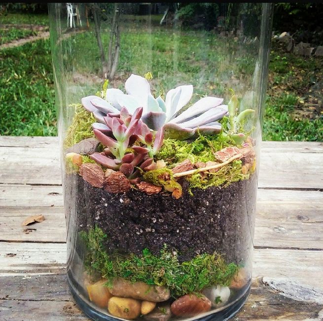 Centros de mesa en tu boda, llenos de vida campestre con Suculentas, cactus y más. 17