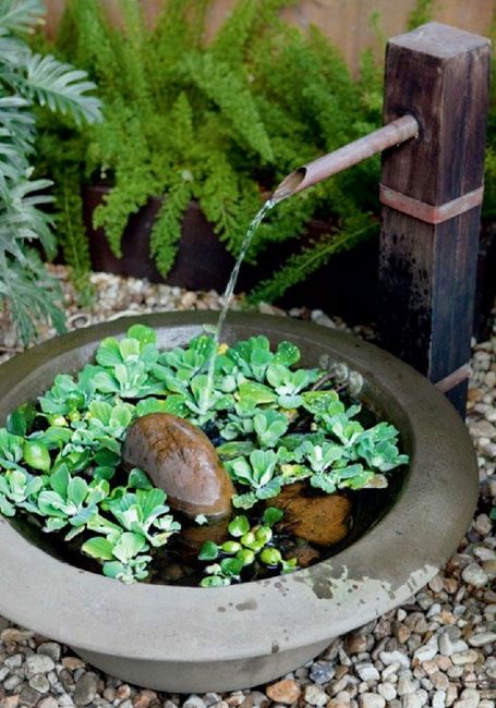 Centros de mesa en tu boda, llenos de vida campestre con Suculentas, cactus y más. 18