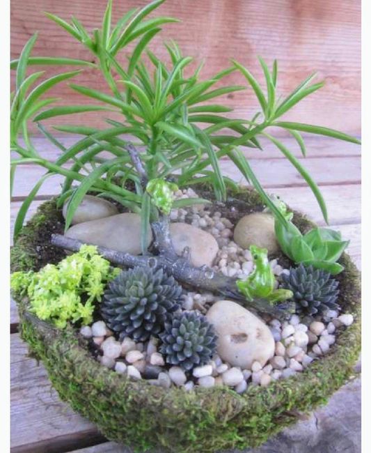 Centros de mesa en tu boda, llenos de vida campestre con Suculentas, cactus y más. 22