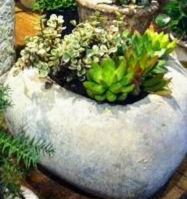 Centros de mesa en tu boda, llenos de vida campestre con Suculentas, cactus y más. 23