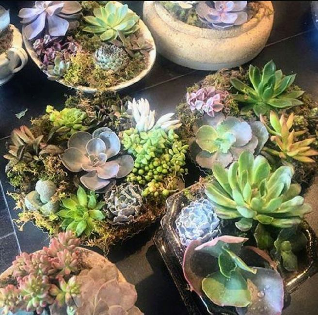 Centros de mesa en tu boda, llenos de vida campestre con Suculentas, cactus y más. 24