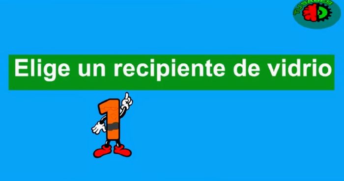 Hacer Un mini Jardín en Vidrio Tú misma con suculentas paso a paso  (diy) 2