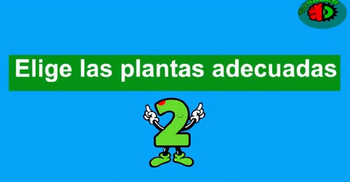 Hacer Un mini Jardín en Vidrio Tú misma con suculentas paso a paso  (diy) 4