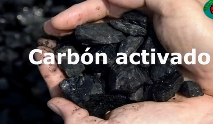 Hacer Un mini Jardín en Vidrio Tú misma con suculentas paso a paso  (diy) 14