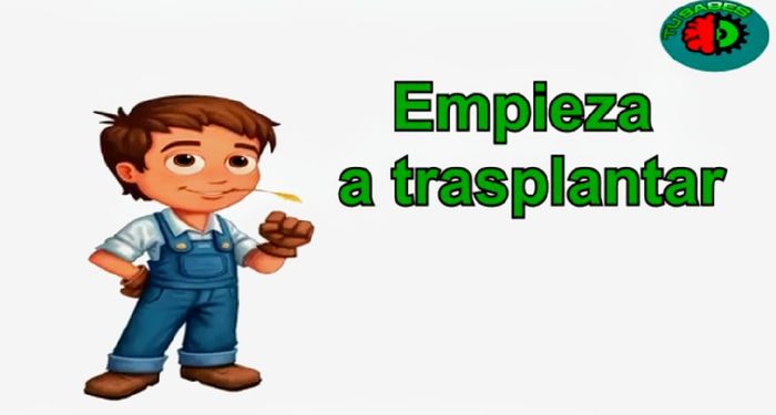 Hacer Un mini Jardín en Vidrio Tú misma con suculentas paso a paso  (diy) 34