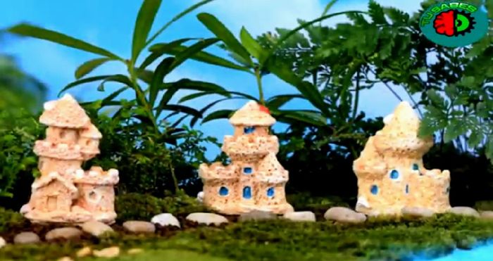 Hacer Un mini Jardín en Vidrio Tú misma con suculentas paso a paso  (diy) 38