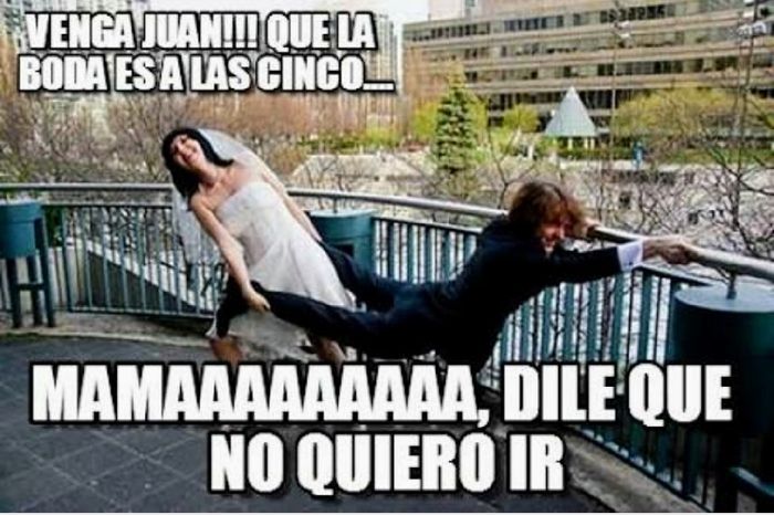 ¡Compartan sus memes de boda! 😅 33