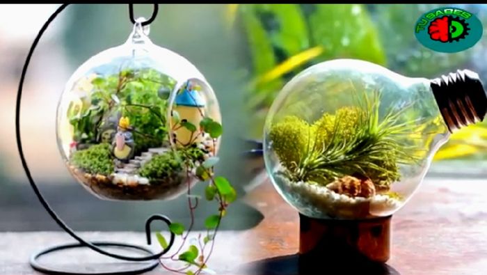 Rally Adornos de mesa en vidrio Cactus suculentas. 6