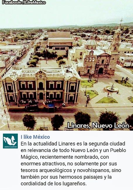 Tu luna de Miel en Norte de México Mágico 8
