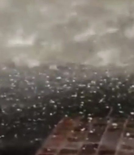 Mi lado Bridezilla Begui 4