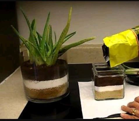 Busco recomendaciones 28