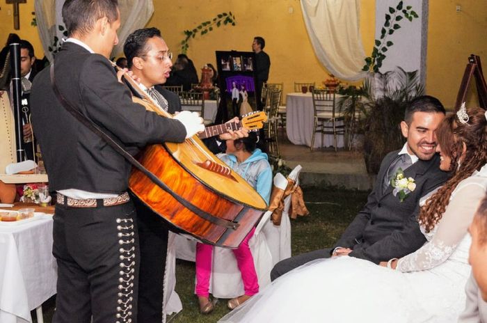 Busco recomendaciones 31