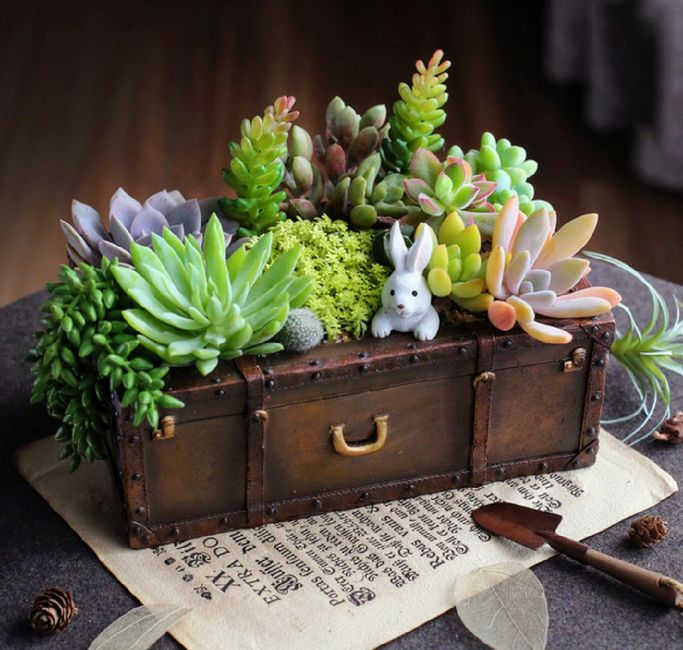 Recuerditos, el dilema del millón! 14